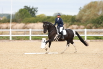 SBM_000946
