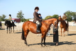 SBM_02271