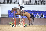 SBM_001913