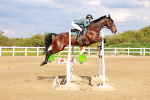 SBM_002466