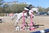 BPP_2915