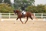 SBM_01631