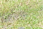 260630A-112139-05774