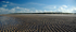 Holkham 7
