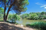 Sierra de Andújar, Andalucia, Spain