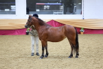 SBM_20899