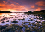 Portnalong Sunset