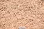 260830B-095154-03599