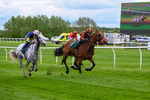 210526-Race 4-Analogical-4459