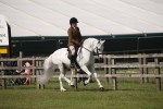 SBM_09163