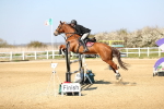 SBM_000939