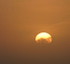 Golden Orb