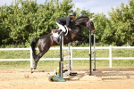 SBM_003823