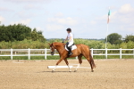 SBM_000334