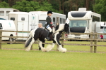 SBM_06364