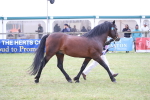 SBM_09833