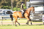 SBM_10643