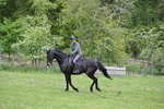 WJ6_3468
