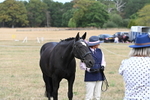 WJ6_6328