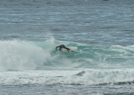 DSC_5368