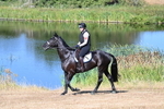 WJ7_6937