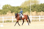 SBM_009494