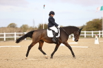 SBM_010295