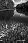Clarkpond22-1bw2
