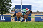 070826-Race 5-Master Vintner-2008