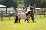 SBM_01746