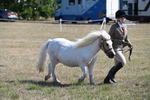 WJ6_4532