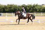 SBM_002941