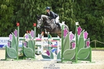 311-BALLYCOSKERRY_REGAL_DIAMOND-Hollie_Swain-SUNTrotUp+SJ portfolio