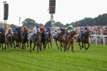 260724-Race 4-Dicko The Legend-4102