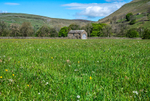 Swaledale Barn