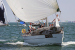 140621 BEL516 IMG_8878