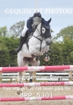 CLASS 27 SUN Senior Newcomers/ 1.10m Open portfolio