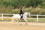 SBM_000169