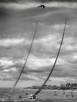 Kite Festival portfolio