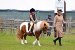 SBM_08069