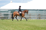 SBM_15844