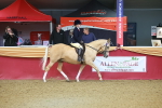 SBM_09609