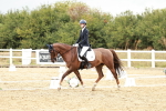 SBM_003797
