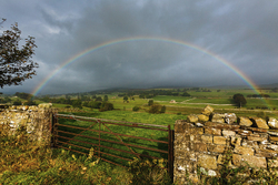 Landscapes portfolio