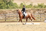 SBM_001652