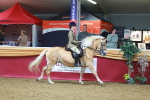SBM_05336