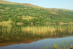 Loch Doire nam Mart, Morvern