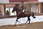 BPP_9942