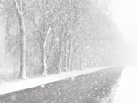 Winter Silence
