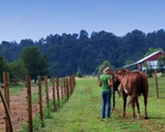 Haleys Horse_027